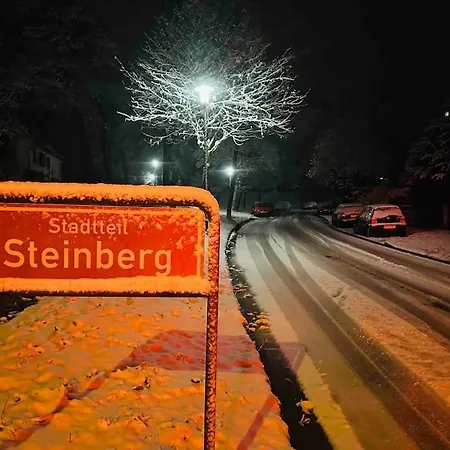 Am Steinberg Apartment *